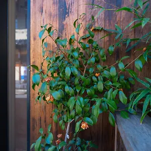 Séjour chez l'habitant 美築八坂
