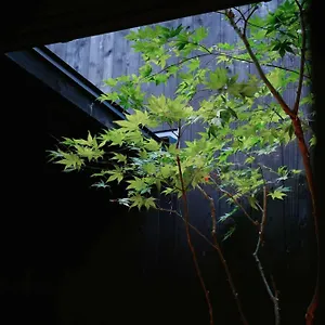 季楽 銭屋町 京都市